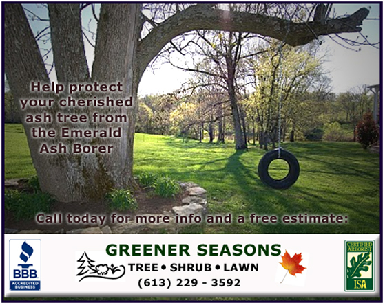 Emerald Ash Borer treatment flyer